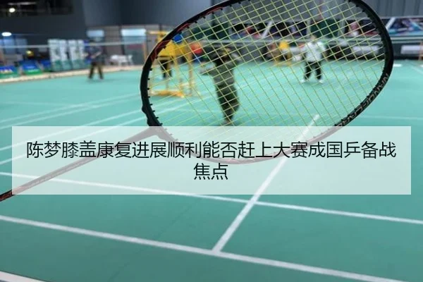 陈梦膝盖康复进展顺利能否赶上大赛成国乒备战焦点
